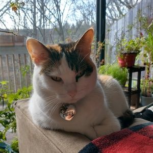 Meet your Posher, Colleen